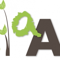 Louis DE REDON Louis DE REDON