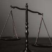 Marion VERGNOLE Marion VERGNOLE