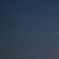 Marie PALISSE Marie PALISSE