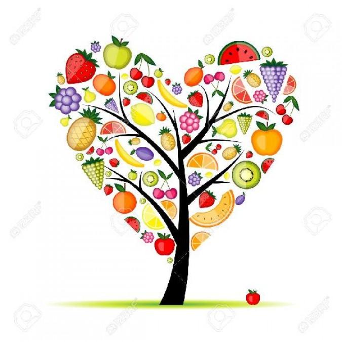 La transmission de l'usufruit
