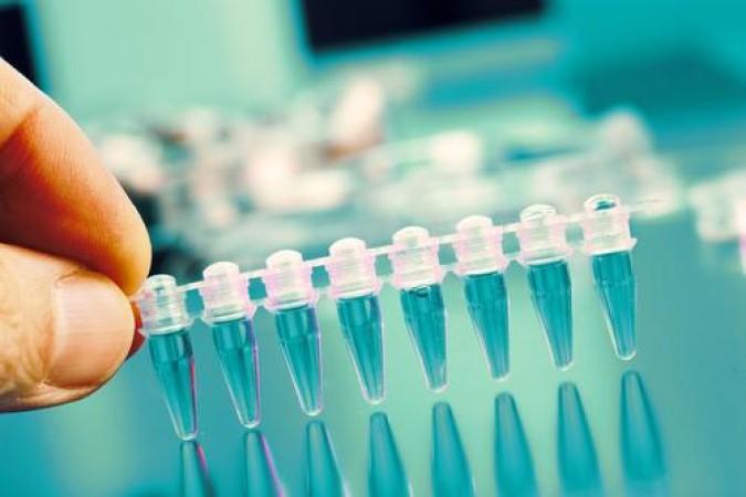 L'incidence du divorce sur la filiation de l'enfant