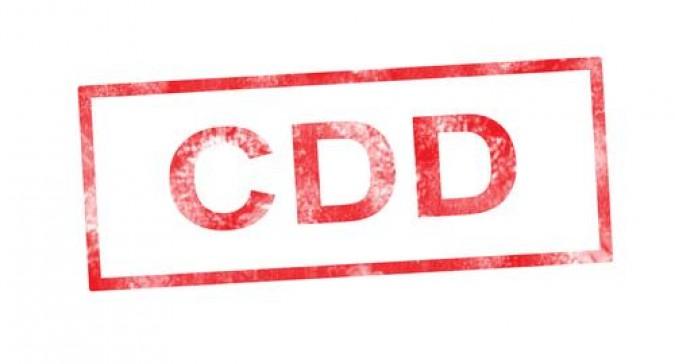 CDD de remplacement : les 4 grands principes à connaître