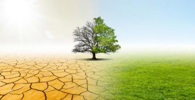 5 points pour comprendre votre indemnisation des d�g�ts dus � une s�cheresse