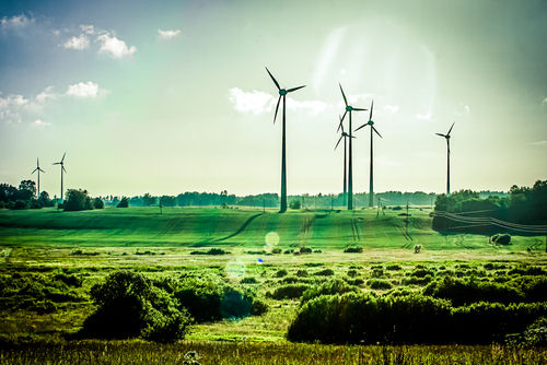 La nouvelle réglementation des clôtures en zones naturelles et forestières